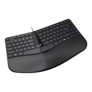 Teclado Genius Ergonómico Con Reposa Muñecas KB-700