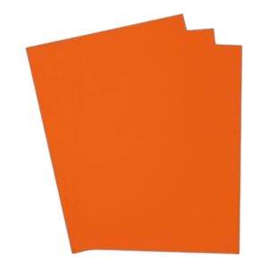 Cartulina Iris o Arte 1/8 Color Naranja